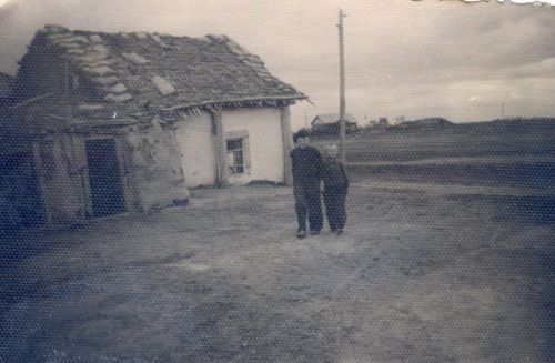 55
