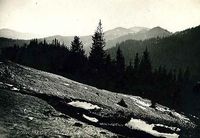 Карпатские горы. 1916г. — Фотографии Михаила Яковлевича Черепанова времен Первой мировой войны.