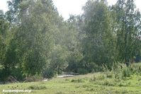 Поставим памятник деревне. Проект генерала Усманова, 2003 год — Фоторепортаж с открытия памятного знака на месте исчезнувшей деревни Корчажино. Фото из архива Усманова В.В.