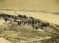 Подготовка леса для моста. 1915-16гг. — Фотографии Михаила Яковлевича Черепанова времен Первой мировой войны.