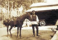 Сева и Павел Семенович Полушины, ок. 1915 — После смерти в 1910 году Шастовского купца Семена Ивановича Полушина, его сыну, Павлу Семеновичу, досталась заимка в районе д. Шастово. В 1920-е годы новые власти отняли у Полушиных имущество, чем лишили их средств к существованию. Павел Семенович и его жена Анна Андреевна Полушины умерли в 1922 голодном году. На их заимке в 1920-е годы была организована коммуна из бывших работников Павла Семеновича.