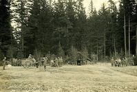 Опушка леса (склады). 1915-16гг. — Фотографии Михаила Яковлевича Черепанова времен Первой мировой войны.