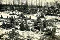 Солдаты на привале. 1916г. — Фотографии Михаила Яковлевича Черепанова времен Первой мировой войны.