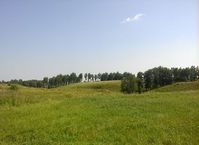Деревня Ровная Кетовского района Курганской области — Окрестности. Фото Владимира Брылева (Шадринск), 2018 год.