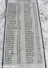 Село Половинное Целинного района Курганской области — Фото Владимира Шевцова, 11.11.2011.
