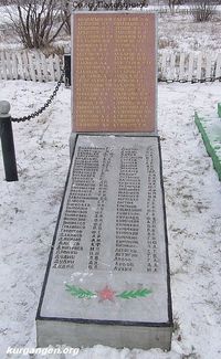 Село Половинное Целинного района Курганской области — Фото Владимира Шевцова, 11.11.2011.