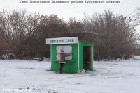 Село Половинное Целинного района Курганской области — Фото Владимира Шевцова, 11.11.2011.