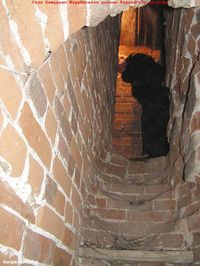 Село Батурино. Спасо-Преображенская церковь-20. — Лестница на колокольню. Фото Владимира Шевцова, 27.04.2012