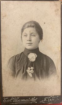 — Текст на обороте: Многоуважаемой сватье от З. Дмитриевой. 7 февраля 1905 г. Фотоателье Е.А.Шестакова, Н. Тагил.