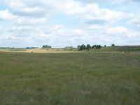 Косогор у деревни Гаганово — Местность у деревни Гаганово. Фото Алексея Канунникова. 2009.