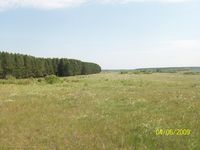 Пойма реки Миасс у села Кирово — Фото Алексея Канунникова. 2009.
