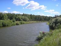 Роща Пермячиха — Фото Алексея Канунникова. 2009.