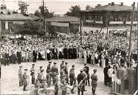 Город Катайск — Митинг.